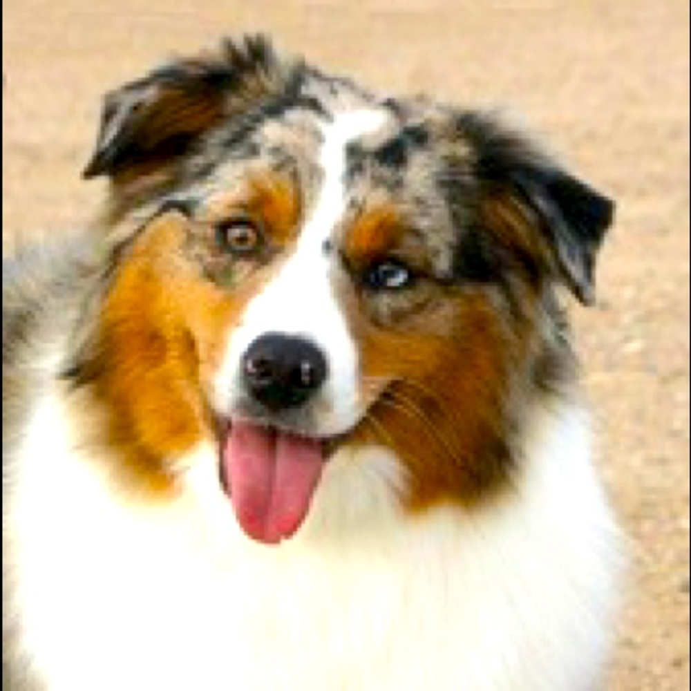 Meet your Posher, Carla